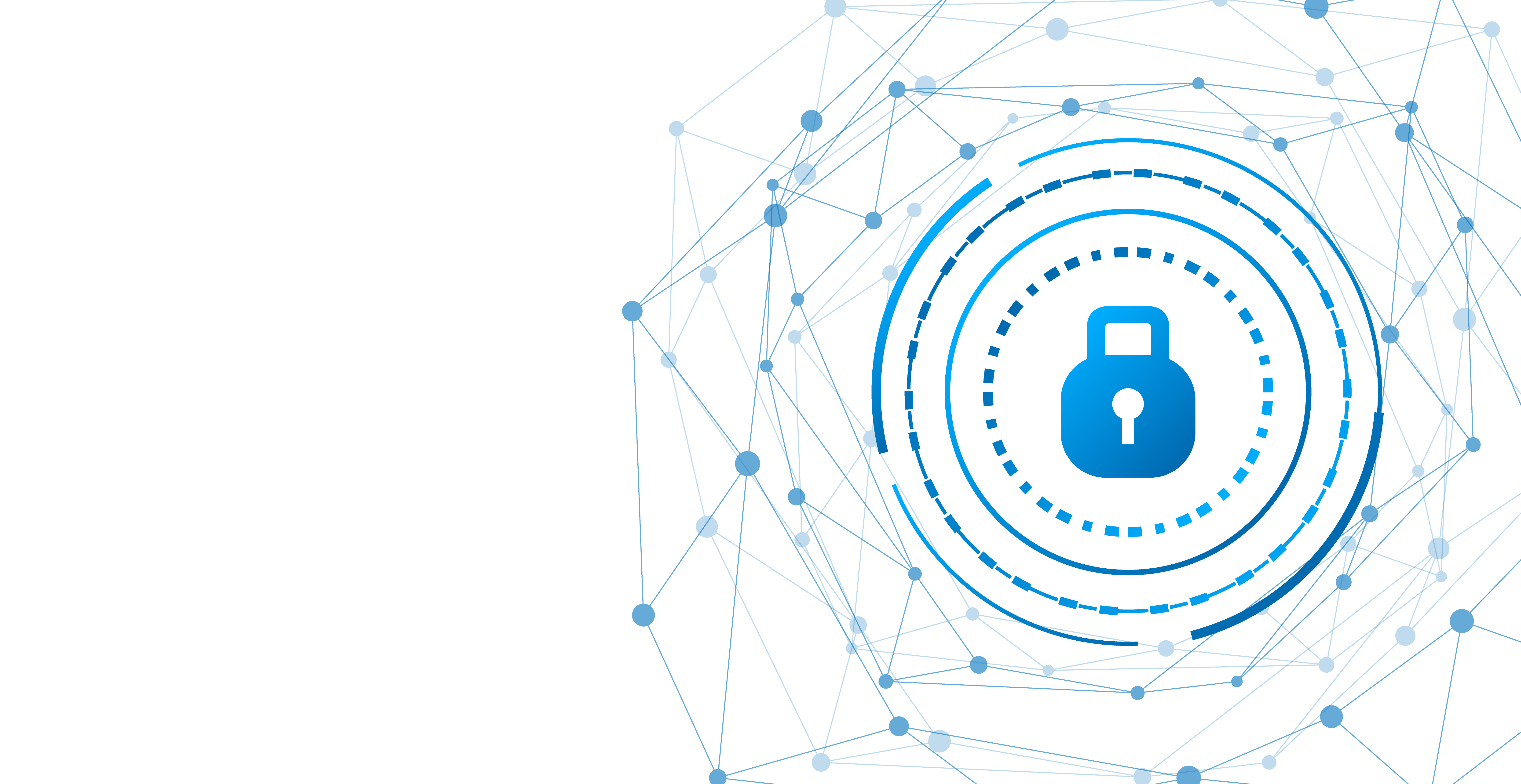 Cyber Security Consultant
